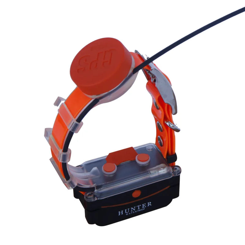 Wasserdichtes GPS-Hundehalsband mit Tracker – Training & Echtzeit-Tracking