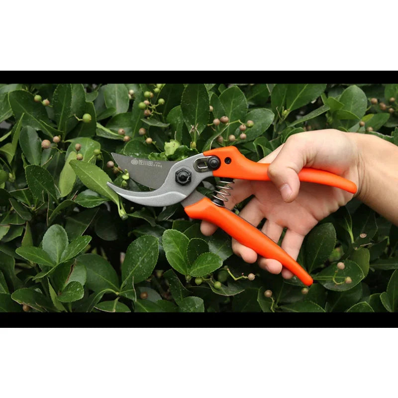 Sécateur de jardin – Sécateur à lames croisées pour branches, arbres fruitiers et branches dures