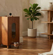 Gamelle en bois pour chien et chat – Distributeur de croquettes automatique au design Noyer grande capacité