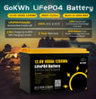 GoKWh LiFePO4 Accu 12V 100Ah / 24V 200Ah – Bluetooth – IP65 – 4000+ Cycli