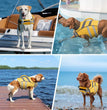 Hundeschwimmweste – Premium-Schwimmweste für Haustiere mit Auftrieb