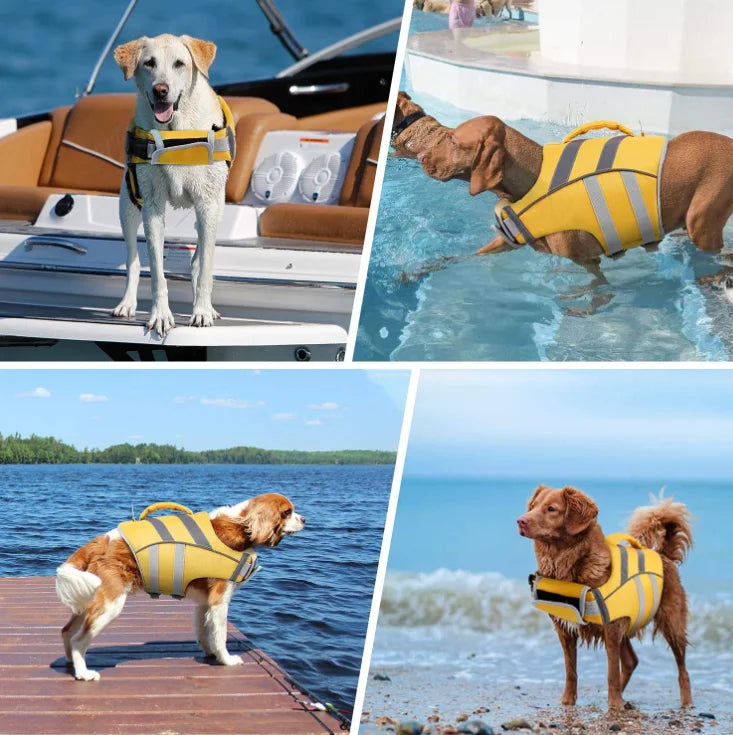 Hundeschwimmweste – Premium-Schwimmweste für Haustiere mit Auftrieb