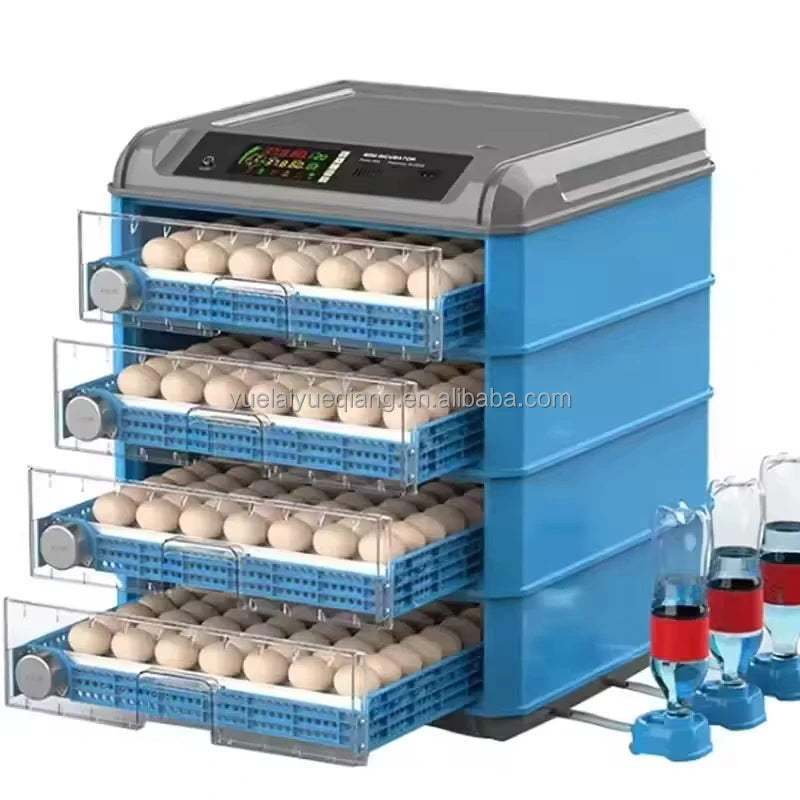 Incubateur automatique pour 12 œufs – Incubateur numérique avec alimentation en eau automatique (110 V/220 V/12 V)