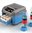 Automatischer Eierbrutapparat für 12 Eier – Digitaler Brutapparat mit automatischer Wasserzufuhr (110V/220V/12V)