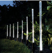 🌟 AMARYLLIS Solar Tuinpad Verlichting – Decoratieve Tube Solar Lights IP65