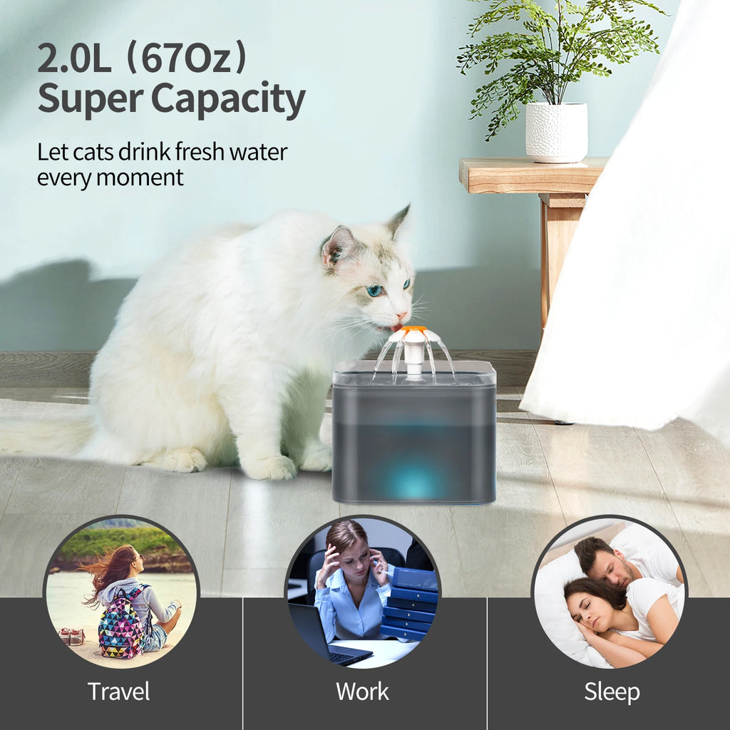 Katzenbrunnen – Automatischer Trinkbrunnen mit LED-Beleuchtung (2 l)