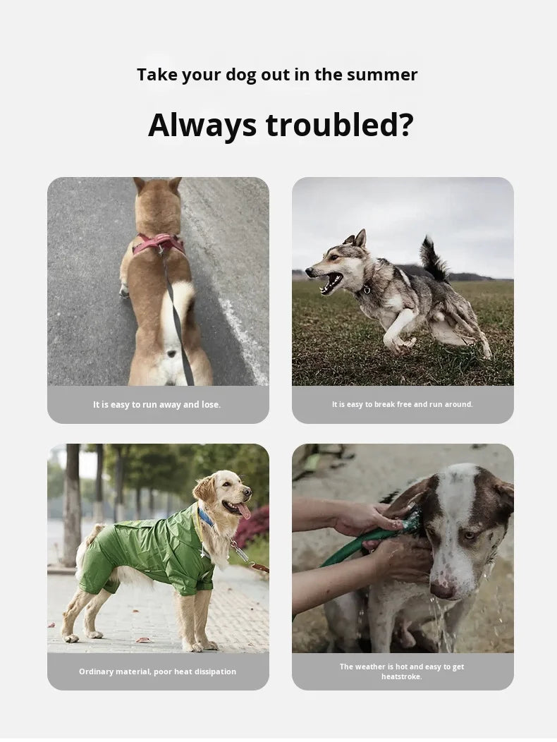 Hunde Kühlweste & Geschirr – Atmungsaktives Sommergeschirr mit Leine und Schleifen für kleine Hunde