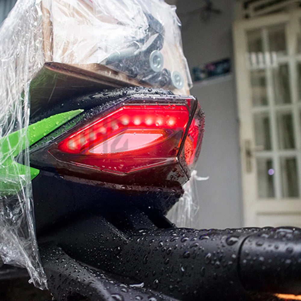 🏍️ LED Achterlicht met Richtingaanwijzers voor Kawasaki Ninja 250 / 300 🔥