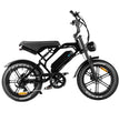 V20 E-Fatbike – 48V E-Mountainbike & Citybike 🚴🔥