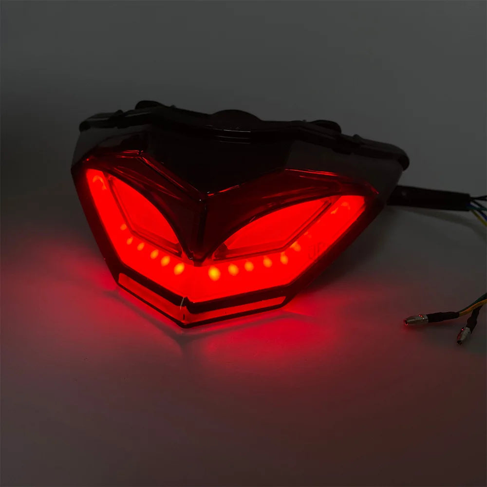 🏍️ LED Achterlicht met Richtingaanwijzers voor Kawasaki Ninja 250 / 300 🔥