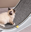 Tapis roulant pour chats - Tapis roulant silencieux pour chats et petits animaux de compagnie