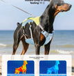 Hunde Kühlweste & Geschirr – Atmungsaktives Sommergeschirr mit Leine und Schleifen für kleine Hunde
