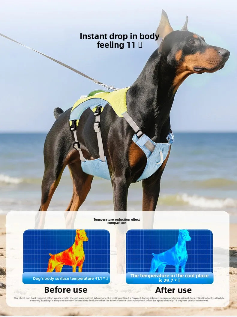 Hunde Kühlweste & Geschirr – Atmungsaktives Sommergeschirr mit Leine und Schleifen für kleine Hunde