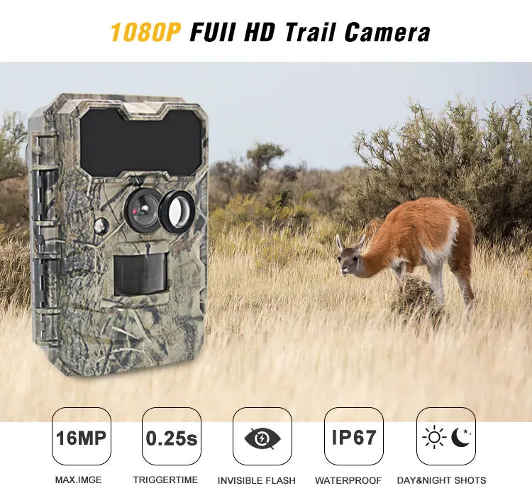 Wildcamera 30MP met Nachtzicht – Jachtcamera met Bewegingssensor en HD Video
