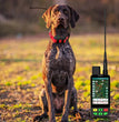 GPS Honden Tracker Halsband – Real-Time Tracking met 4G & App