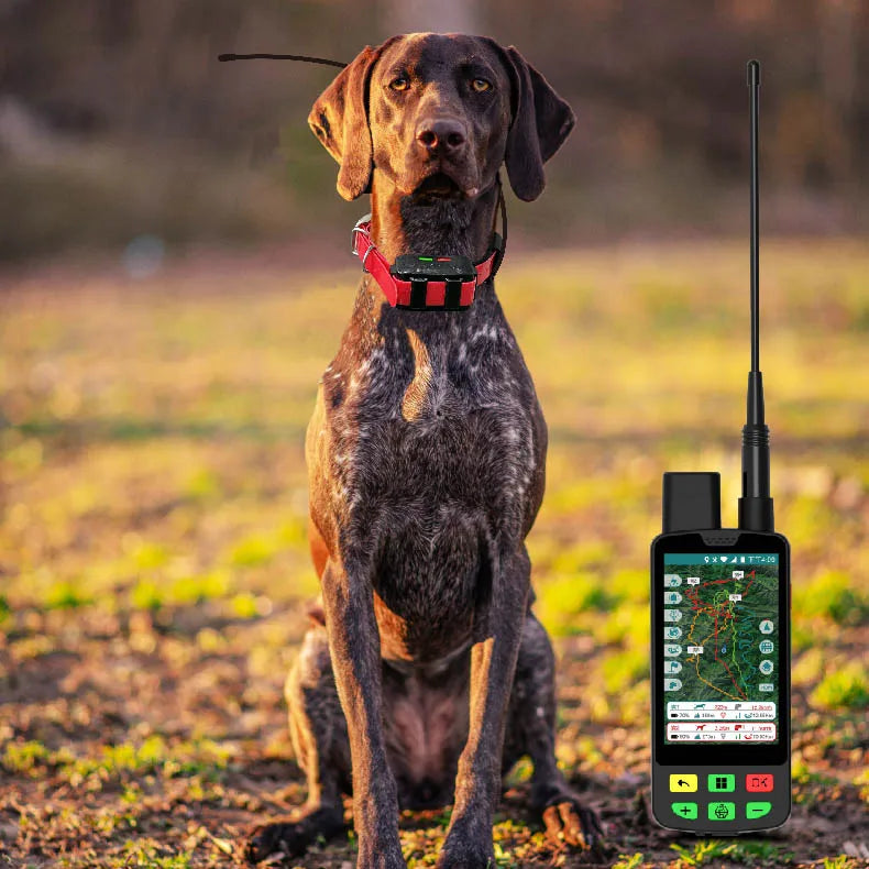 GPS Honden Tracker Halsband – Real-Time Tracking met 4G & App