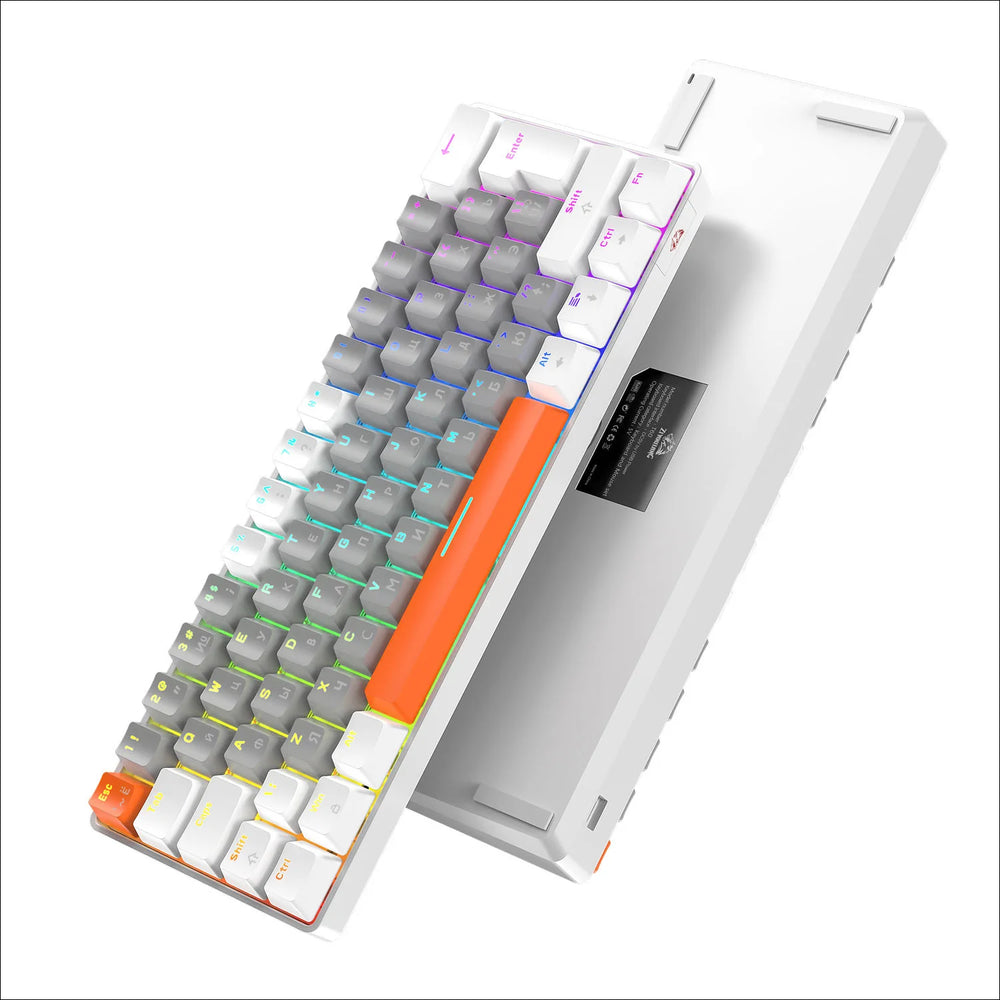 Clavier de jeu mécanique LISM T60 – Mini clavier de jeu 62 touches (interrupteurs rouge/bleu)