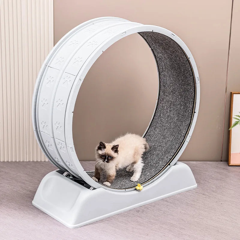 Tapis roulant pour chats - Tapis roulant silencieux pour chats et petits animaux de compagnie