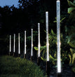🌟 AMARYLLIS Solar Tuinpad Verlichting – Decoratieve Tube Solar Lights IP65