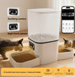 Distributeur automatique intelligent de nourriture pour animaux de compagnie avec Wi-Fi et caméra pour chats et chiens