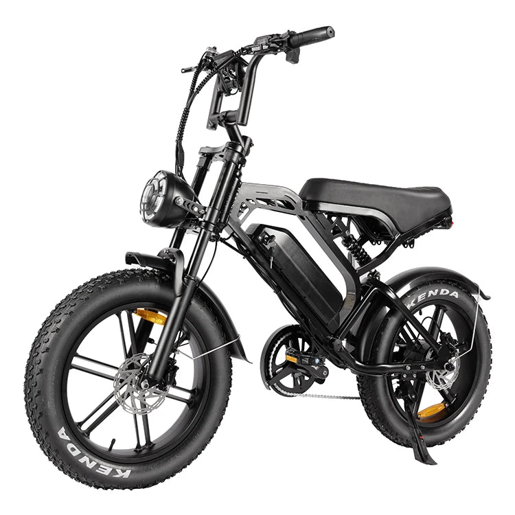V20 E-Fatbike – 48V E-Mountainbike & Citybike 🚴🔥