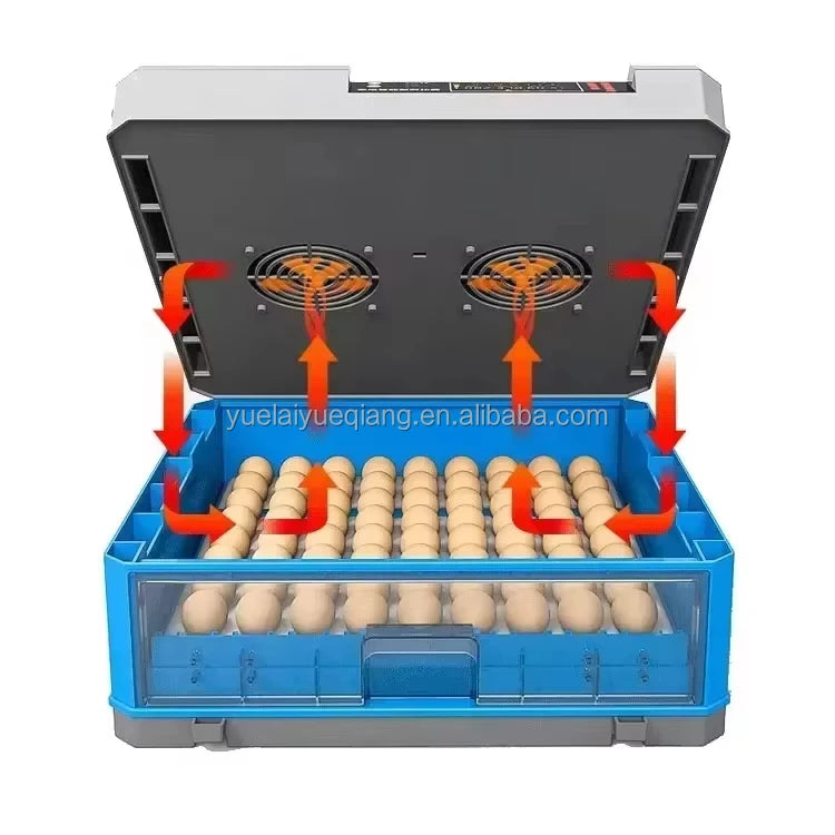 Automatischer Eierbrutapparat für 12 Eier – Digitaler Brutapparat mit automatischer Wasserzufuhr (110V/220V/12V)