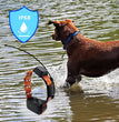 GPS Honden Tracker Halsband – Real-Time Tracking met 4G & App
