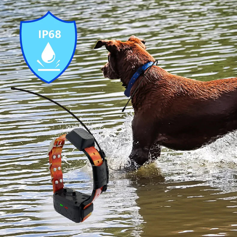 GPS Honden Tracker Halsband – Real-Time Tracking met 4G & App