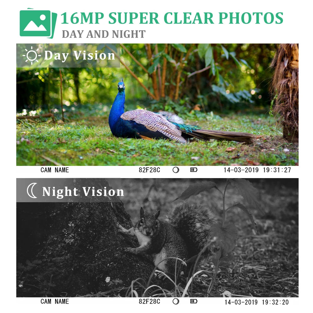 Wildcamera 30MP met Nachtzicht – Jachtcamera met Bewegingssensor en HD Video