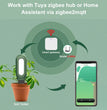 Haozee Tuya Smart Soil Moisture Sensor – Slimme Bodemvocht & Temperatuursensor (Bluetooth)