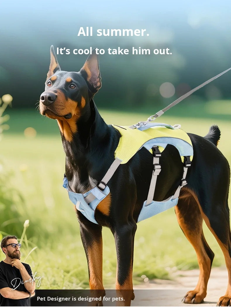 Hunde Kühlweste & Geschirr – Atmungsaktives Sommergeschirr mit Leine und Schleifen für kleine Hunde
