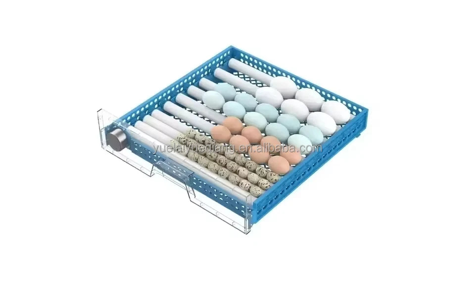 Automatischer Eierbrutapparat für 12 Eier – Digitaler Brutapparat mit automatischer Wasserzufuhr (110V/220V/12V)