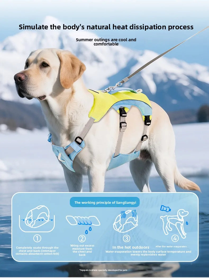 Hunde Kühlweste & Geschirr – Atmungsaktives Sommergeschirr mit Leine und Schleifen für kleine Hunde