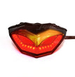🏍️ LED Achterlicht met Richtingaanwijzers voor Kawasaki Ninja 250 / 300 🔥