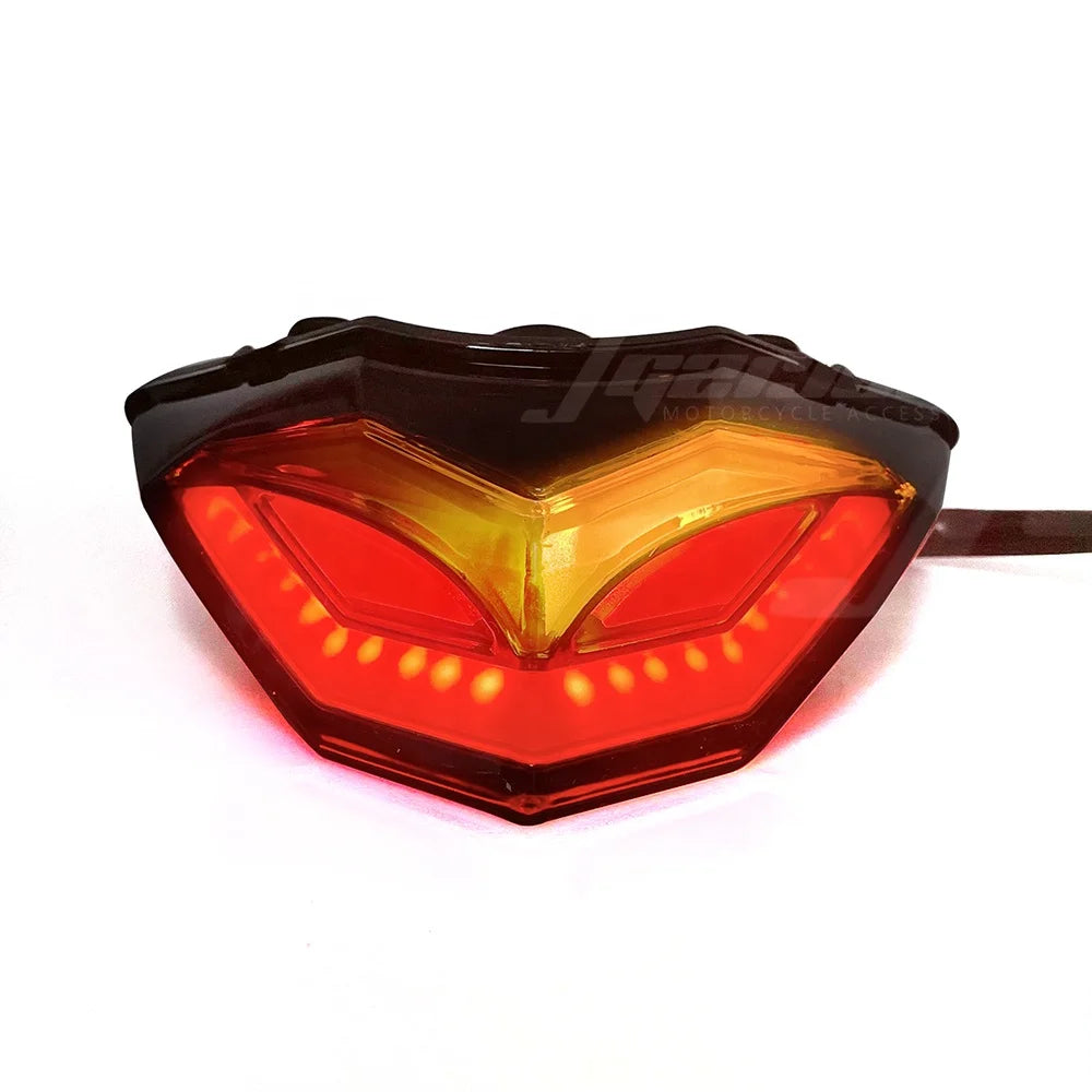 🏍️ LED Achterlicht met Richtingaanwijzers voor Kawasaki Ninja 250 / 300 🔥