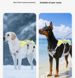 Hunde Kühlweste & Geschirr – Atmungsaktives Sommergeschirr mit Leine und Schleifen für kleine Hunde