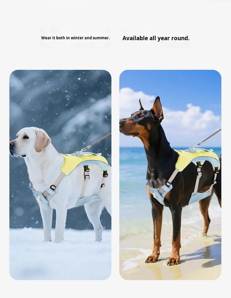 Hunde Kühlweste & Geschirr – Atmungsaktives Sommergeschirr mit Leine und Schleifen für kleine Hunde