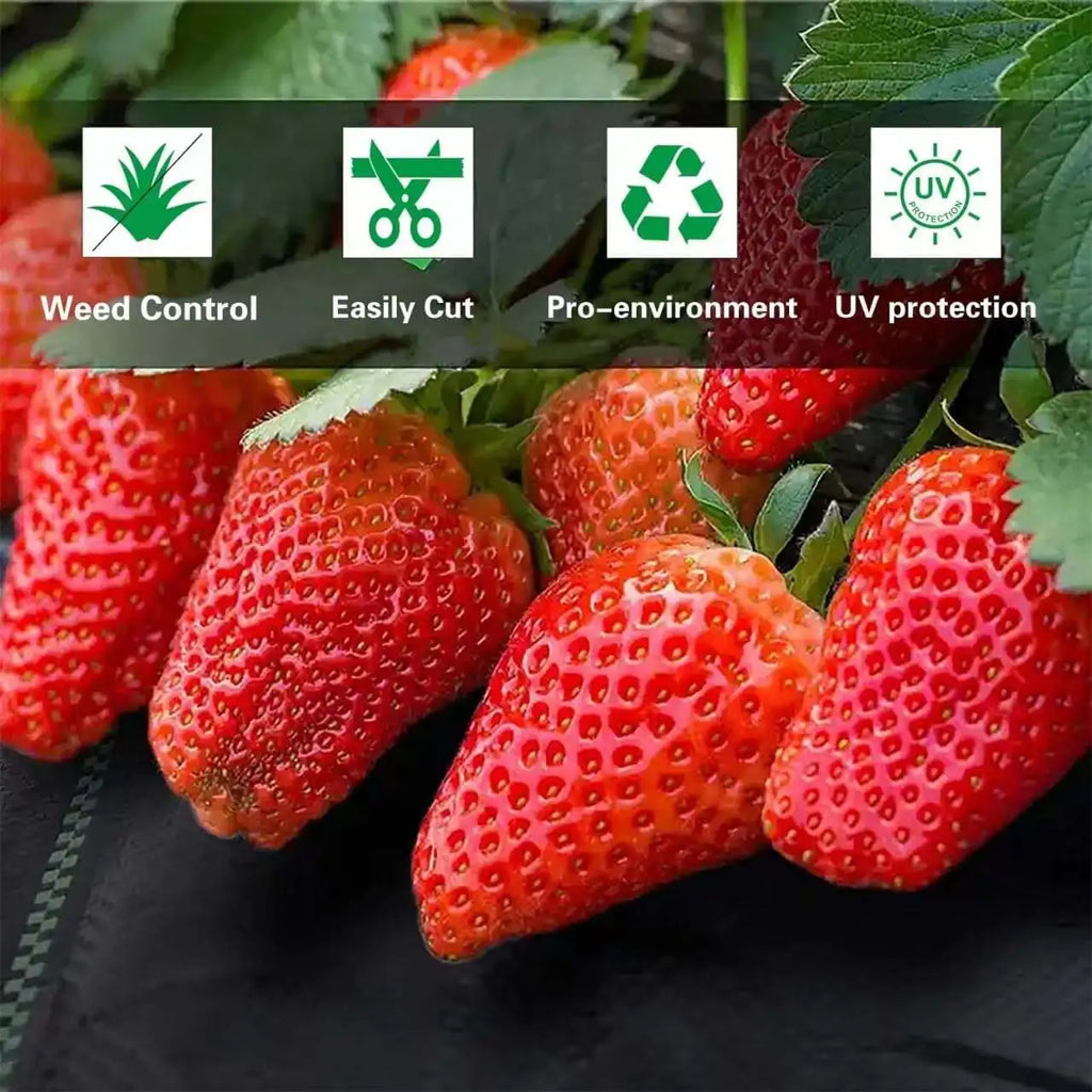 Tuin Anti-Worteldoek 10 x 1 Meter – Heavy-Duty Weed Barrier Gronddoek (PE)