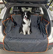 Tapis de coffre pour chiens – Tapis de voiture antidérapant pour SUV et voiture