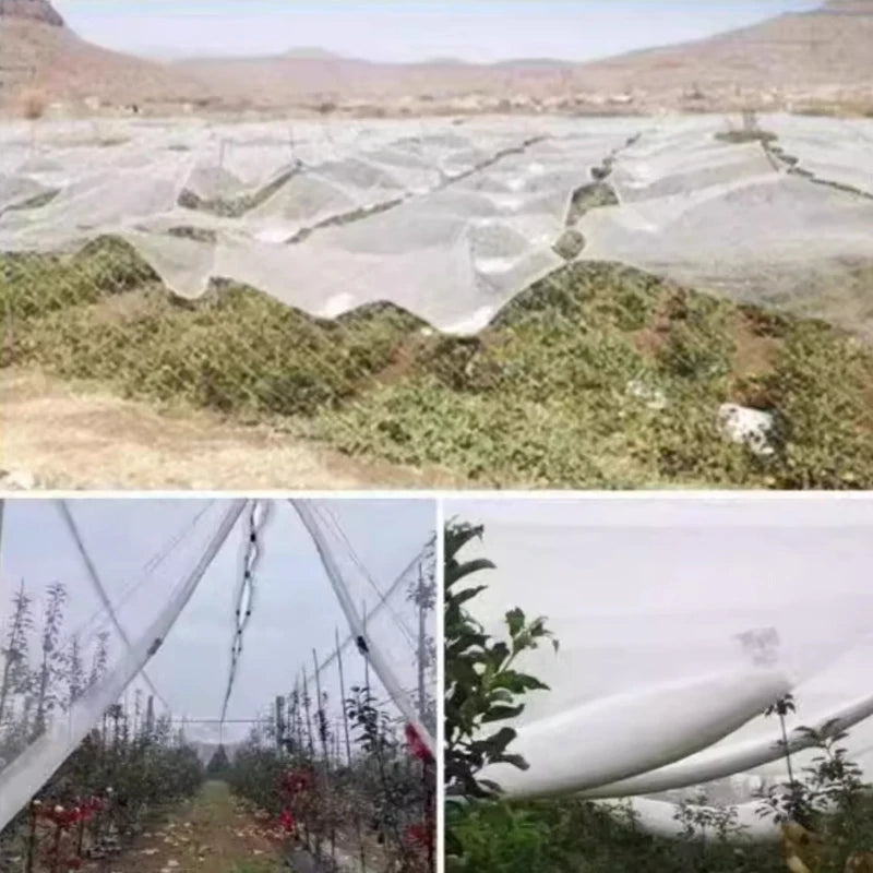 Filet de jardin MAHFPME – Filet anti-oiseaux et de protection des plantes (maille 0,5, PE)