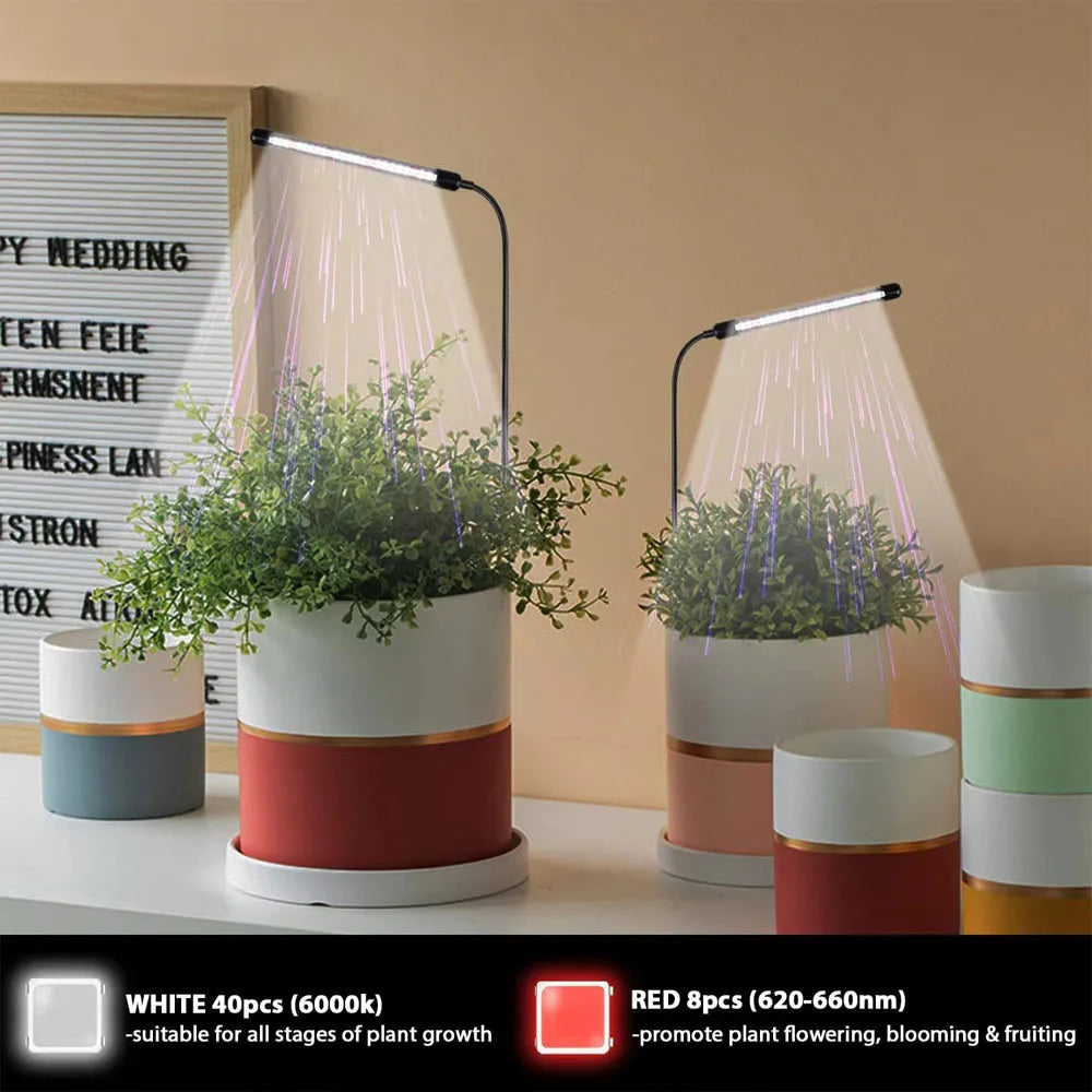 LED-Pflanzenlampe mit USB-Anschluss – Vollspektrum 6000K – Lampe für das Pflanzenwachstum in Innenräumen