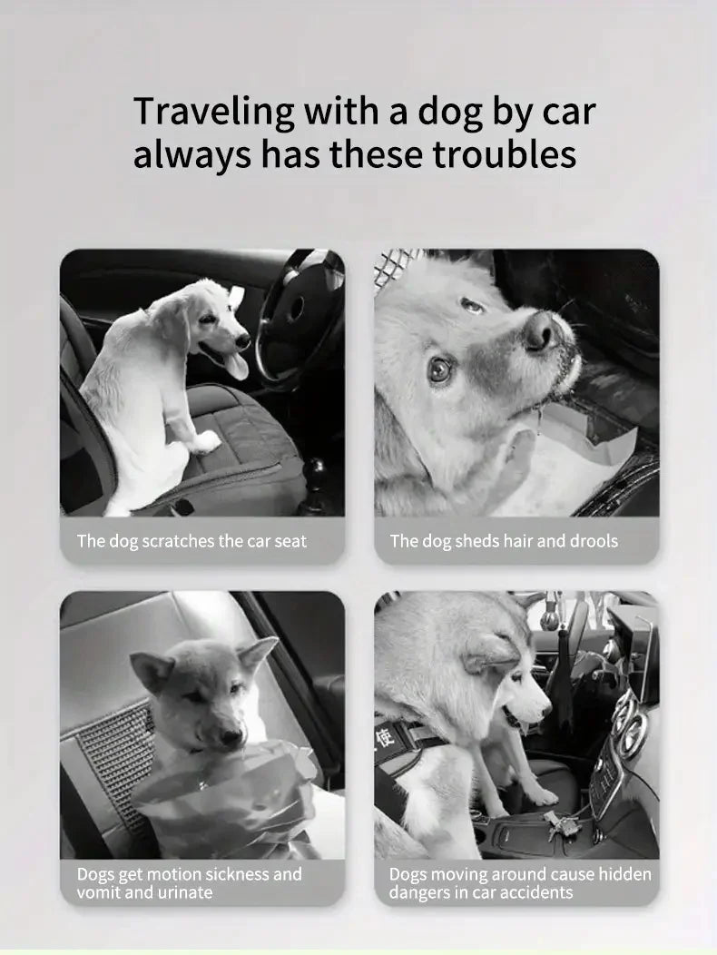 Tapis de coffre pour chiens – Tapis de voiture antidérapant pour SUV et voiture
