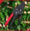 Professionele Snoeischaar – Krachtige Takschaar voor Tuin, Kwekerij & Boomgaard