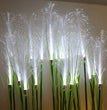 🌾 Lampe solaire de jardin en fibres de pampa – Fleur de jonc à fibre optique (IP65)