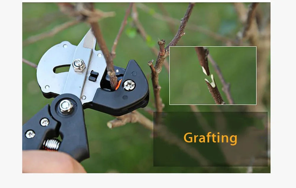 Sécateur et greffoir TOTNEND – Sécateur pour arbres fruitiers + 2 lames supplémentaires (27 cm)