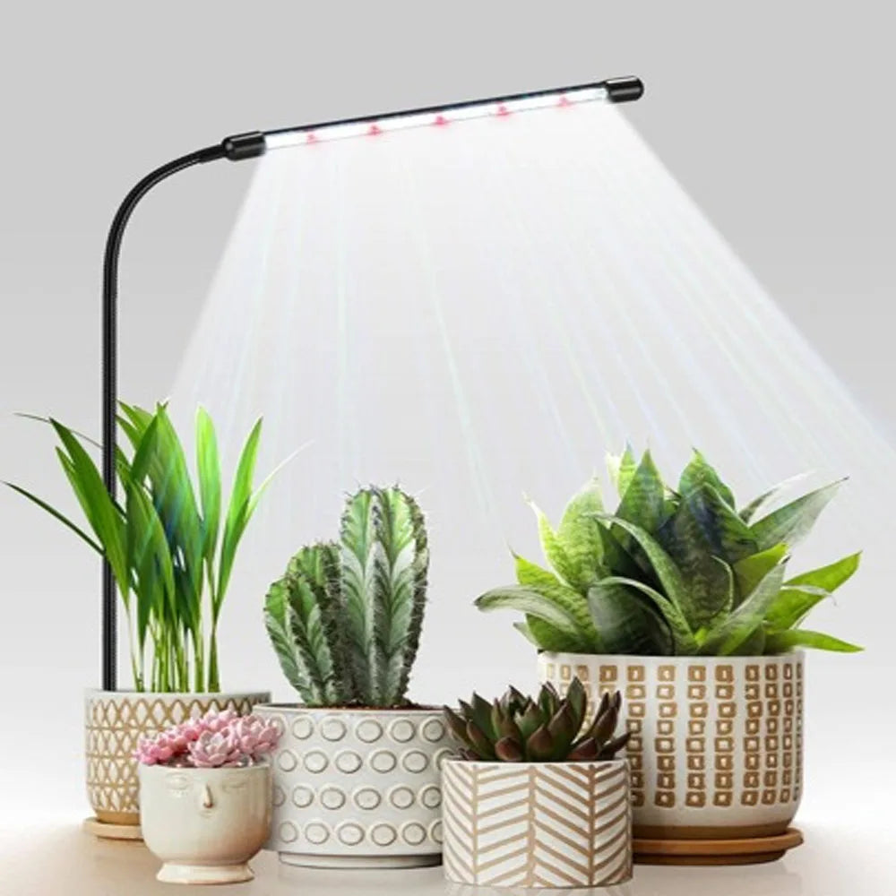 LED-Pflanzenlampe mit USB-Anschluss – Vollspektrum 6000K – Lampe für das Pflanzenwachstum in Innenräumen