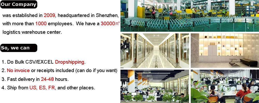 Apwikoger 6L Camping Koelbox – Draagbare Geïsoleerde Cooler voor Camping, Strand & Picknick