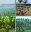 Filet de jardin MAHFPME – Filet anti-oiseaux et de protection des plantes (maille 0,5, PE)