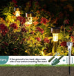 🌞 super-cheese Solar Tuinverlichting Set – 10/20/30 Stuks LED Padlampen (IP44)