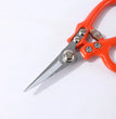Opvouwbare Snoeischaar – Bypass Tuinschaar voor Kamerplanten, Takken & Bloemen